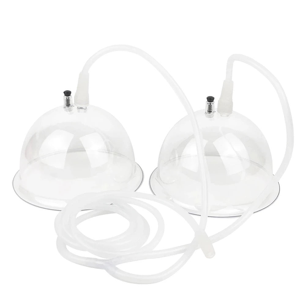 Bigger Booty Cups ( Round)